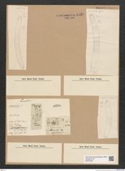 Diatomeae indet. Zeichnungen Sammlung Grunow Nr. 6591 (NHMW-BOT-W0375340)